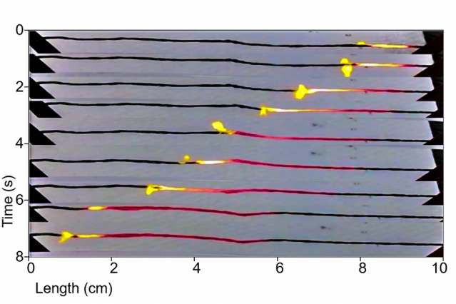 thermopower waves