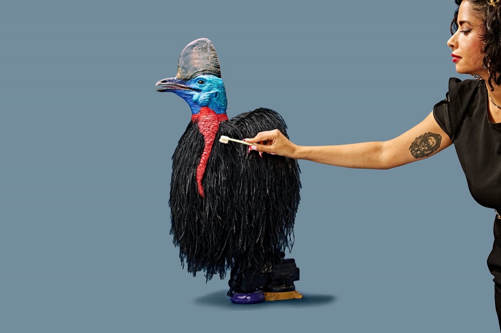 Divya Anantharaman touches up cassowary replica